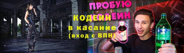 Альфа ПВП Няндома