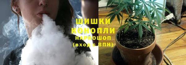 ПСИЛОЦИБИНОВЫЕ ГРИБЫ Нягань