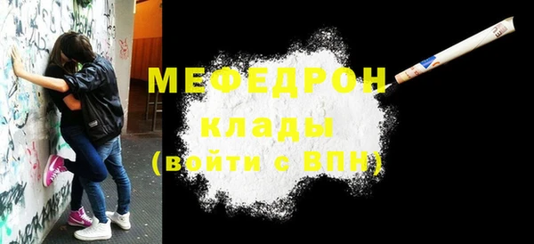 Альфа ПВП Няндома