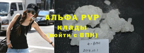 Альфа ПВП Няндома