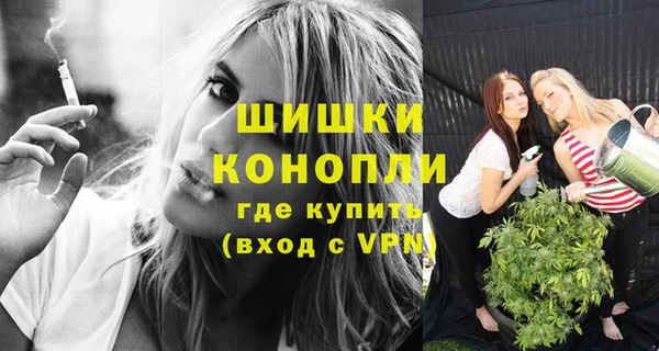 Альфа ПВП Няндома