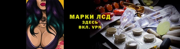 Альфа ПВП Няндома