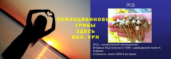 Альфа ПВП Няндома