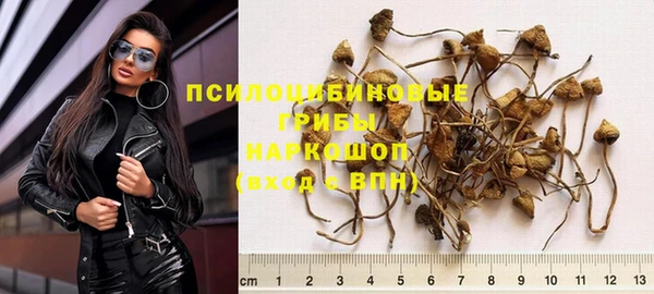 ПСИЛОЦИБИНОВЫЕ ГРИБЫ Нягань