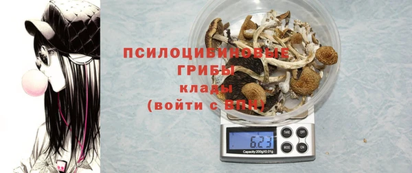 альфа пвп Нязепетровск